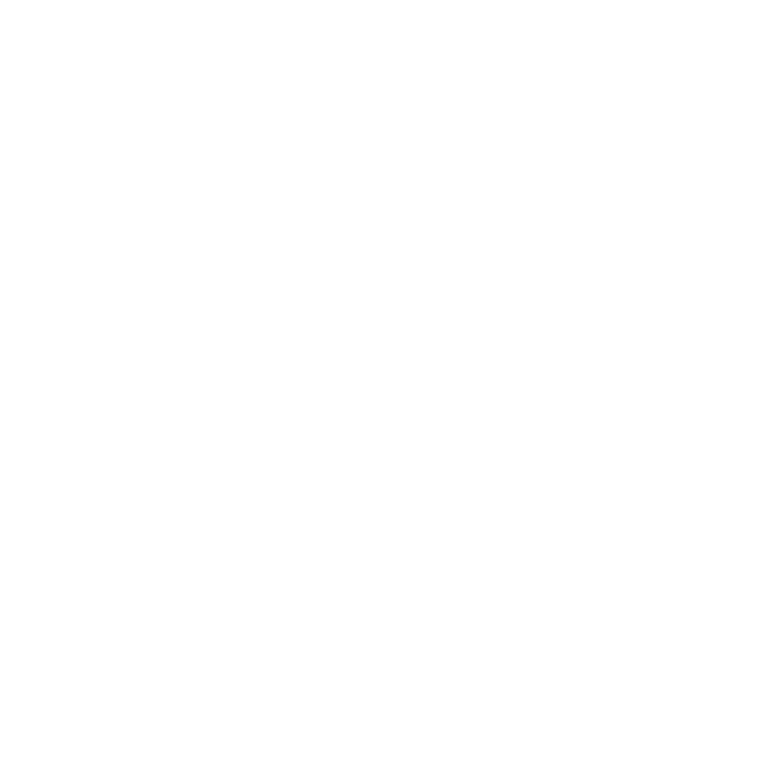 Leadership North Carolina's Nonprofits logo