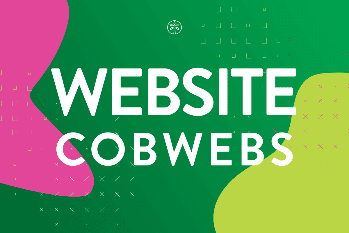 website cobwebs banner